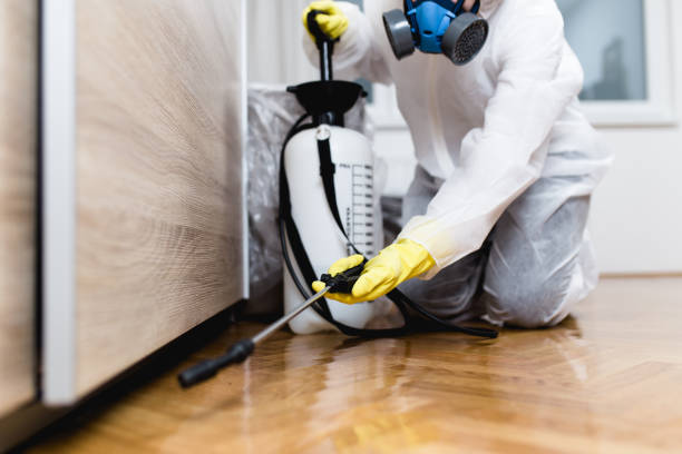 Best Bed Bug Extermination  in New York Mills, MN