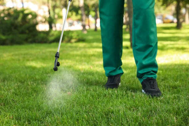 Pest Prevention Services in New York Mills, MN