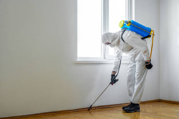Best Pest Inspection Near Me  in New York Mills, MN