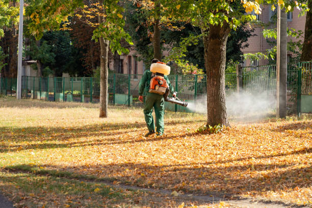 Best Emergency Pest Control  in New York Mills, MN