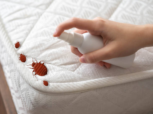 Best Residential Pest Control  in New York Mills, MN
