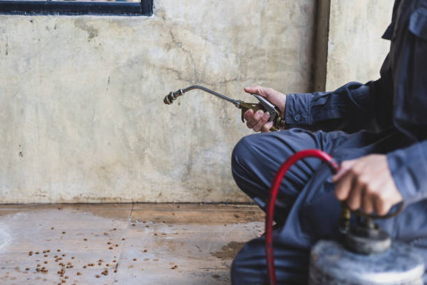 Best Best Pest Control Companies  in New York Mills, MN