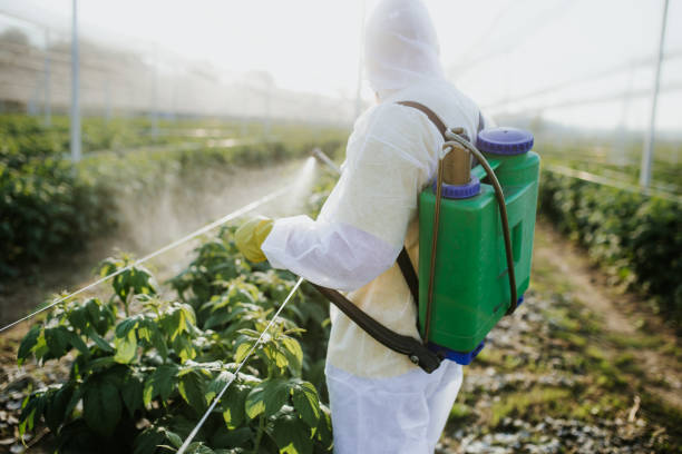Best Affordable Pest Control Services  in New York Mills, MN